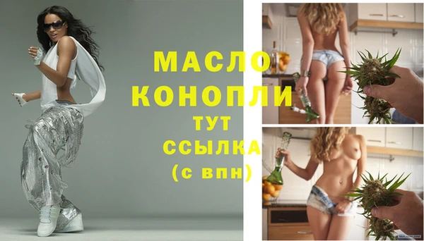 гидра Абаза
