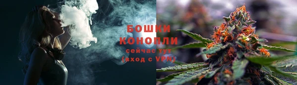 гидра Абаза