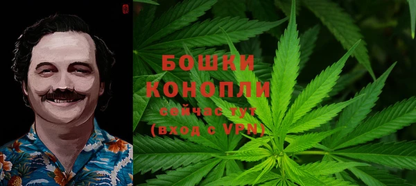 молекула духа Абинск