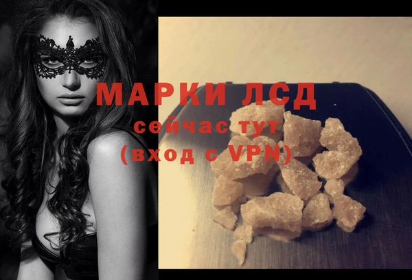 гидра Абаза
